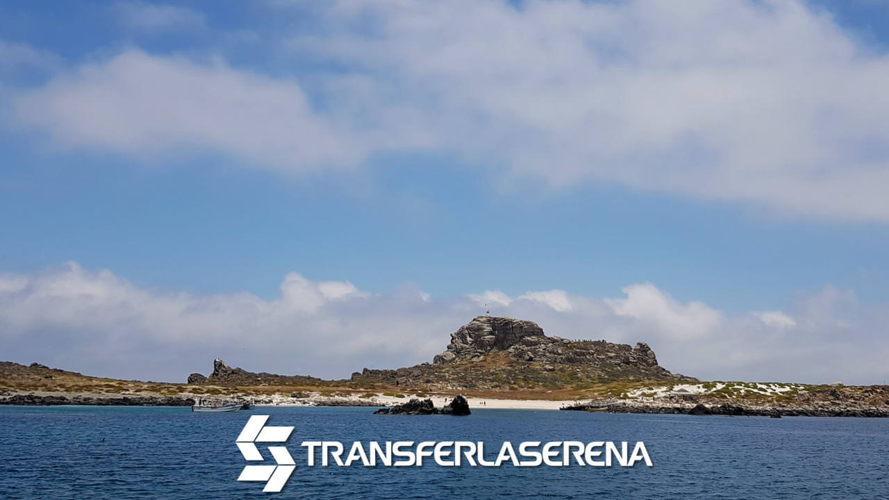 Transfer desde La Serena a Isla Damas, Punta de Choros